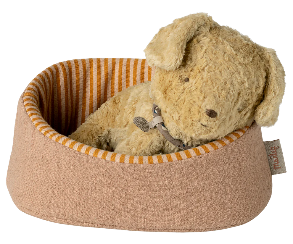 Huisdierenmand - Powder. Verwacht maart.