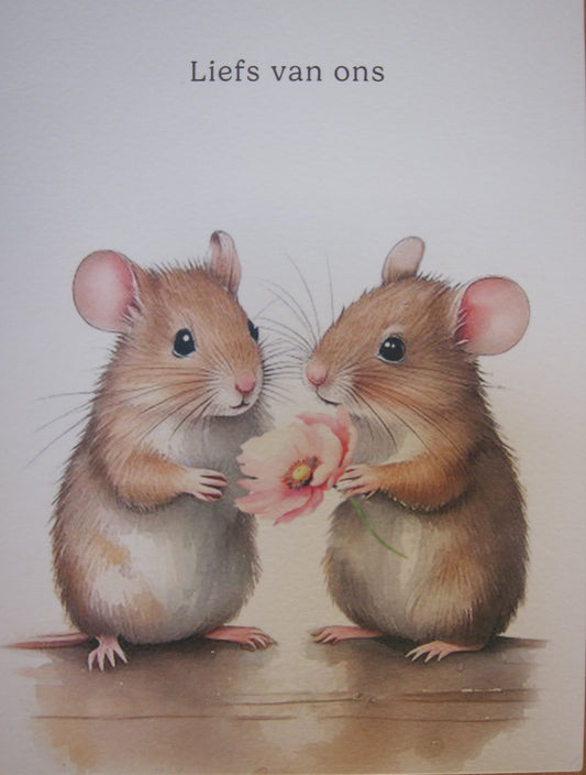 Snipsels - Enkele kaart met envelop.